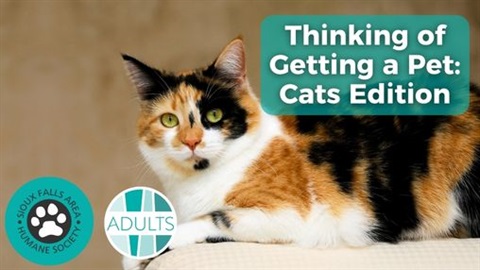 TGP_Cats.jpg