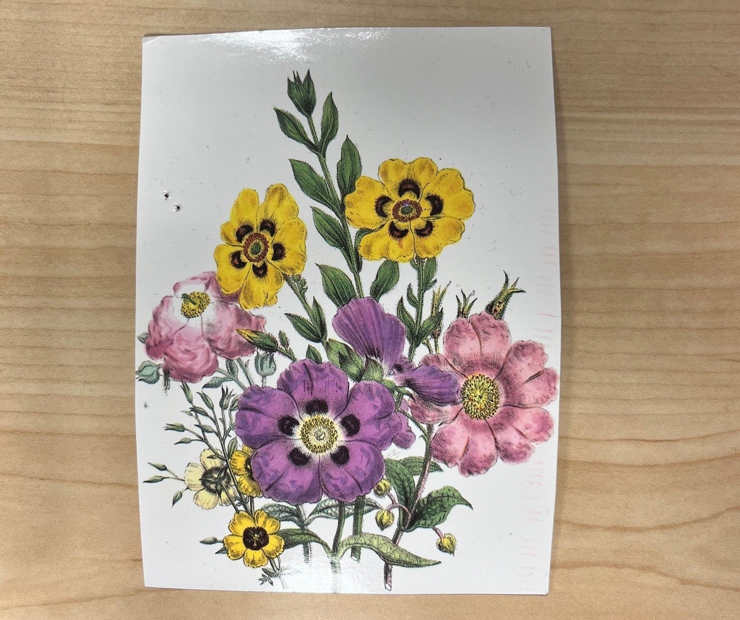 A white-background postcard with an illustration of a bouquet of wildflowers.