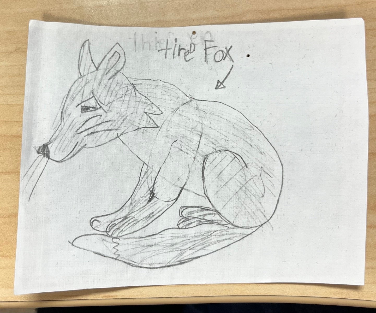 A pencil drawing of a fox is labeled, 