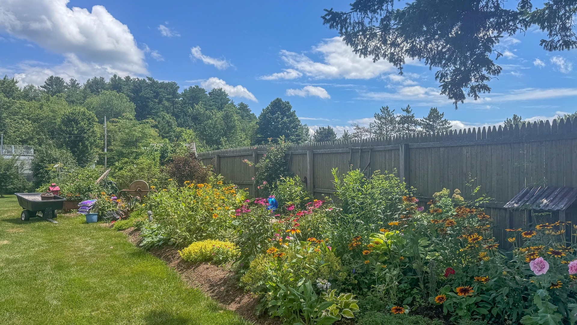 Lush perennial garden in full bloom bordering a backyard privacy fence.
