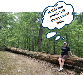 Kara sits on a downed tree, thinking 'Is this too much talk about trees? Nah.'