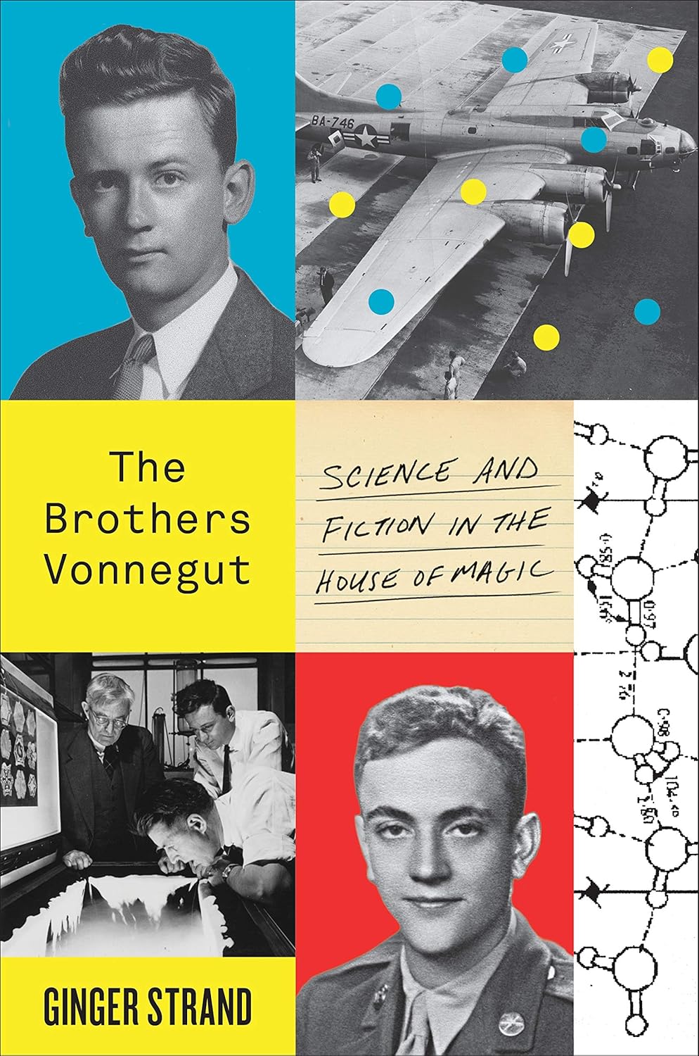 book titled the brothers vonnegut