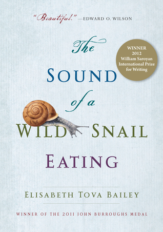 TheSoundOfAWildSnailEating.jpg
