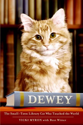 Dewey book cover art featuring an orange cat posing on top of a book with the word 